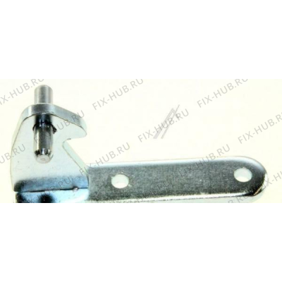 Петля (защелка) для холодильника Indesit C00174698 в гипермаркете Fix-Hub