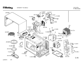 Схема №1 W2420 с изображением Дверь для микроволновки Bosch 00288397