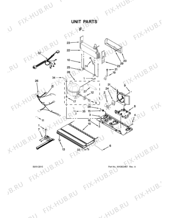 Схема №1 5VGF25SNEA с изображением Петля (защелка) для холодильной камеры Whirlpool 482000090646