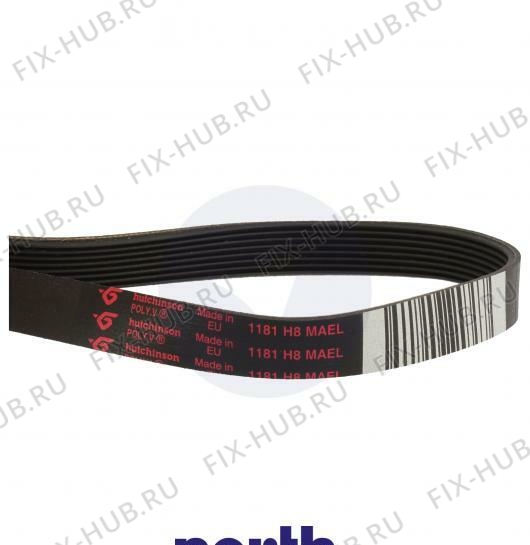 Большое фото - Ремень для стиралки Ariston C00066521 в гипермаркете Fix-Hub