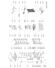 Схема №1 ARC5550 (F091989) с изображением Шуруп для стиралки Indesit C00336671