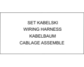 Схема №1 DAM6 (562955, TD70.C) с изображением Электролиния для стиралки Gorenje 427307