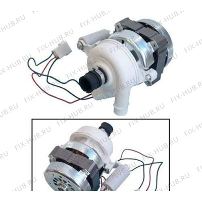 Электропомпа для посудомойки Ariston C00078587 в гипермаркете Fix-Hub