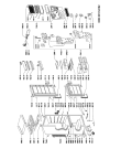 Схема №1 KGNA 305/WH с изображением Другое для холодильника Whirlpool 481228068373