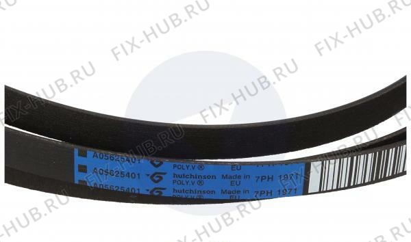 Большое фото - Ремень Aeg 140056254018 в гипермаркете Fix-Hub