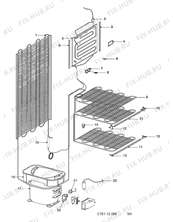 Взрыв-схема холодильника Zanussi QT195 - Схема узла C10 Cold, users manual