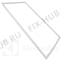 Большое фото - Уплотнение Electrolux 50116737003 в гипермаркете Fix-Hub