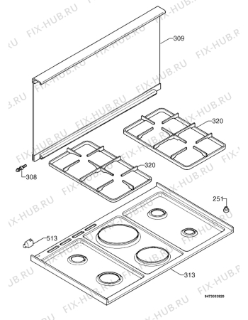 Взрыв-схема плиты (духовки) Zanussi ZCM911NX - Схема узла Hob 271
