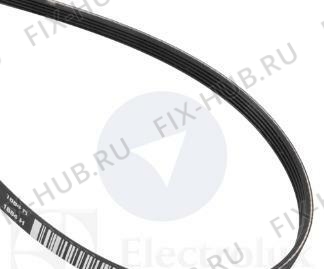 Большое фото - Ремешок Electrolux 1255028100 в гипермаркете Fix-Hub