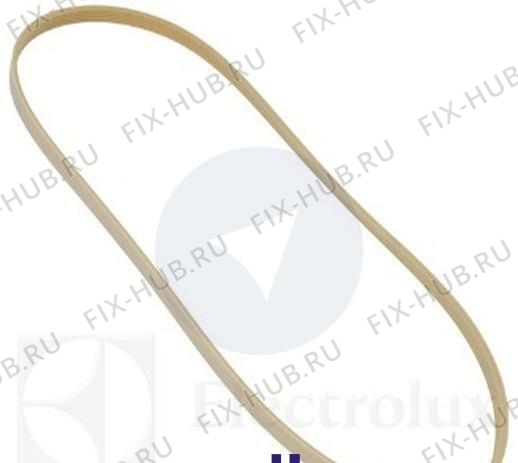 Большое фото - Ремешок для стиралки Electrolux 1508550017 в гипермаркете Fix-Hub