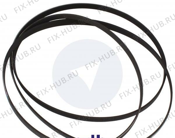 Большое фото - Ремешок Gorenje 562038 в гипермаркете Fix-Hub