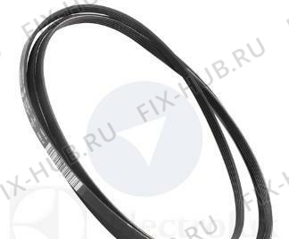 Большое фото - Ремешок Electrolux 1255028100 в гипермаркете Fix-Hub