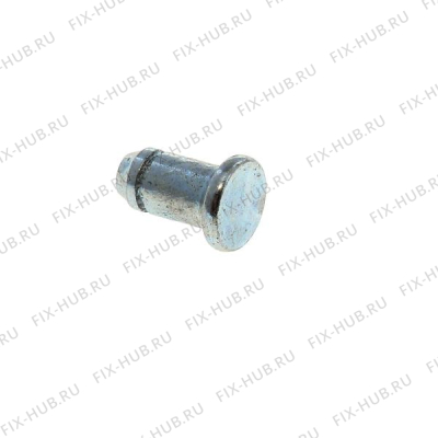 Петля двери Indesit C00048504 в гипермаркете Fix-Hub