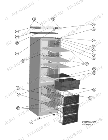 Взрыв-схема холодильника Electrolux ERB27000W - Схема узла Housing 001