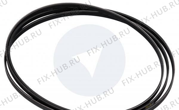 Большое фото - Ремешок Electrolux 1506124039 в гипермаркете Fix-Hub