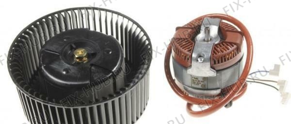 Большое фото - Моторчик для вентиляции Electrolux 3918421037 в гипермаркете Fix-Hub