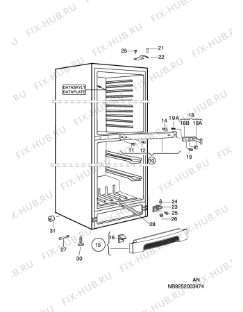 Взрыв-схема холодильника Electrolux ERB33200W8 - Схема узла C10 Cabinet