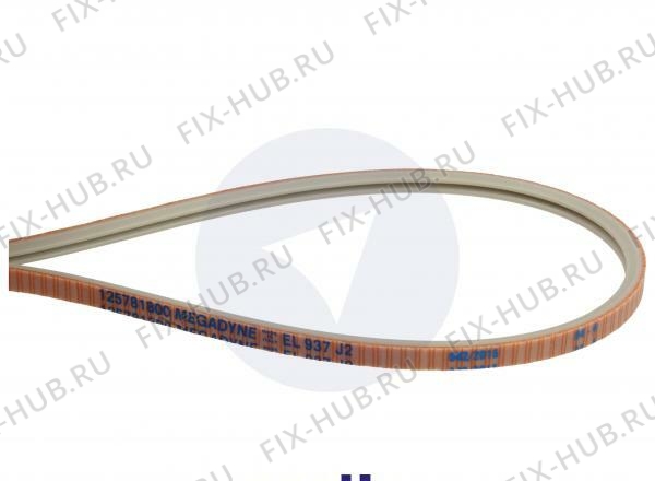 Большое фото - Ремень Electrolux 1257818003 в гипермаркете Fix-Hub