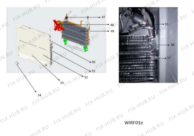 Схема №5 WTM 557 R SS с изображением Петля (защелка) для холодильника Whirlpool 482000094264