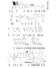 Схема №1 ARC 7614 с изображением Дверца для холодильной камеры Whirlpool 481241610411