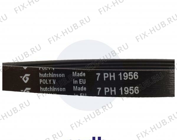 Большое фото - Ремешок Gorenje 562038 в гипермаркете Fix-Hub