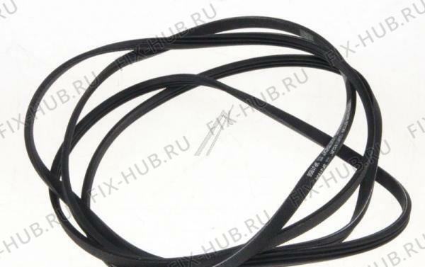 Большое фото - Ремешок Whirlpool 481935818019 в гипермаркете Fix-Hub