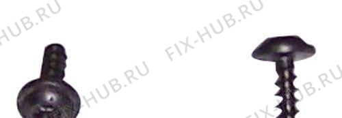 Большое фото - Винтик для холодильника Beko 4049970200 в гипермаркете Fix-Hub