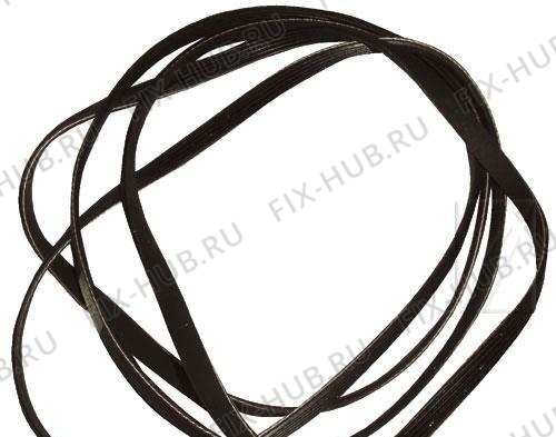 Большое фото - Ремешок Electrolux 1255028100 в гипермаркете Fix-Hub