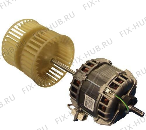 Большое фото - Моторчик Beko 2964400300 в гипермаркете Fix-Hub