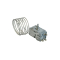 Микротермостат для холодильной камеры Indesit C00289013 для Hotpoint-Ariston RMBA11851SBFH (F066596)