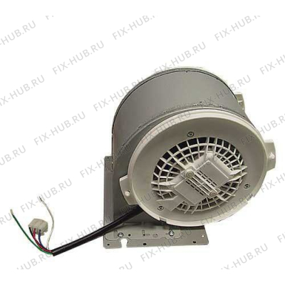 Мотор вентилятора для комплектующей Bosch 00495859 в гипермаркете Fix-Hub
